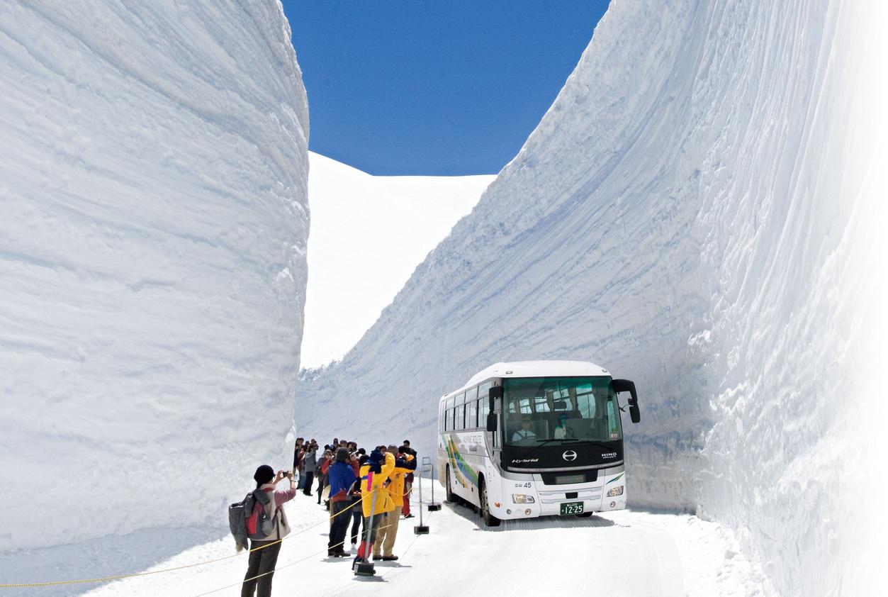 ［立山黒部アルペンルート］第25回 立山・雪の大谷ウォーク　４月１５日(日)より開催！！