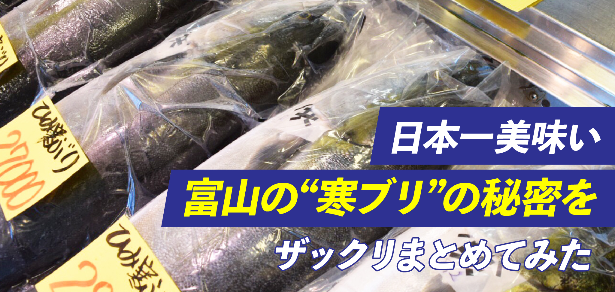 日本一美味い富山の“寒ブリ”の秘密をザックリまとめてみた